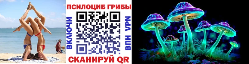 купить Пыть-Ях Псилоцибиновые грибы Psilocybe